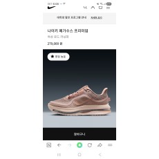 나이키 페가수스 프리미엄
