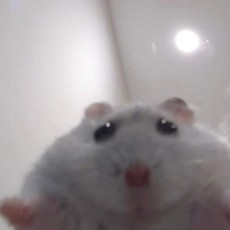 눕시